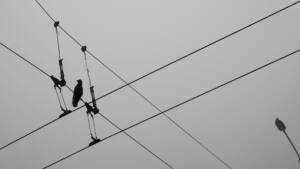 The count’s gray pulse — documentary still from a sequenced photo series