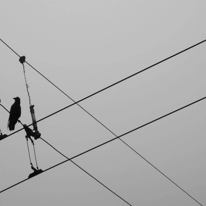 The count’s gray pulse — documentary still from a sequenced photo series