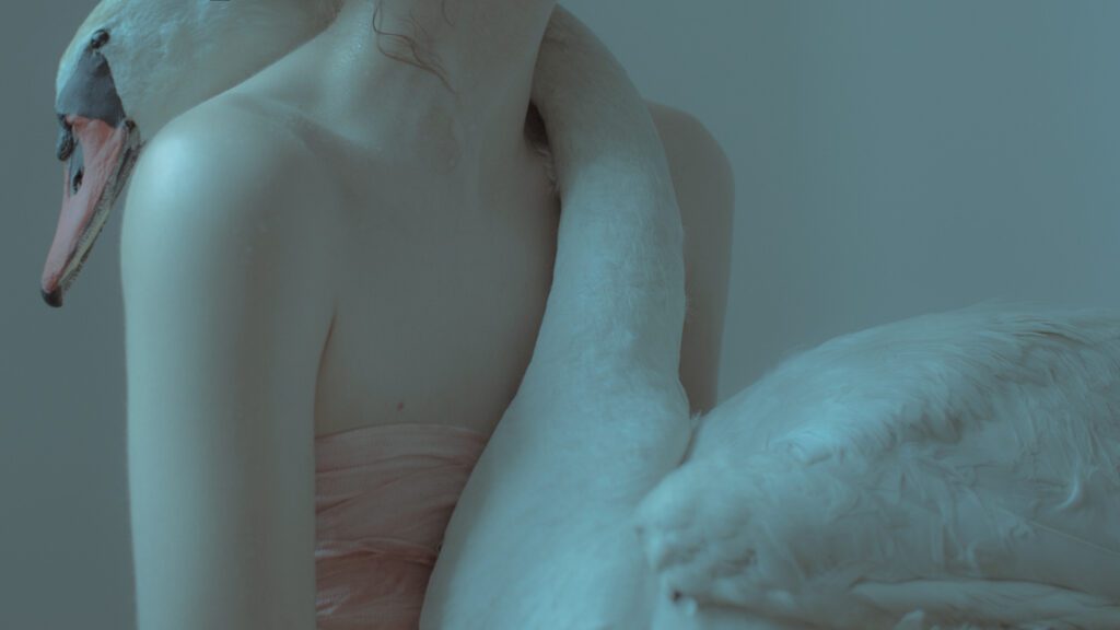 the-melancholic-art-of-laura-makabresku-hero-image
