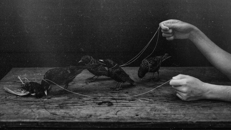 the-melancholic-art-of-laura-makabresku-landscape-photo-5
