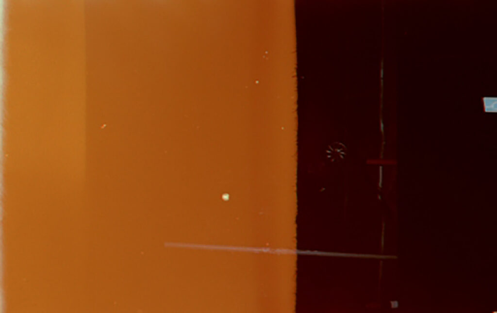 A week with Santa Color 100 film & capturing Sofia and Svidnya — photograph
