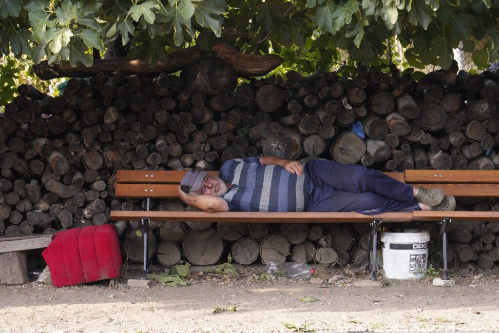 Man napping by the woodpile