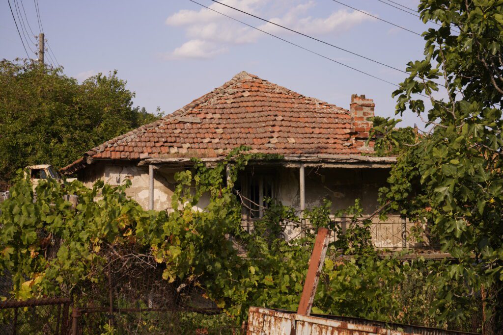 Overgrown village house