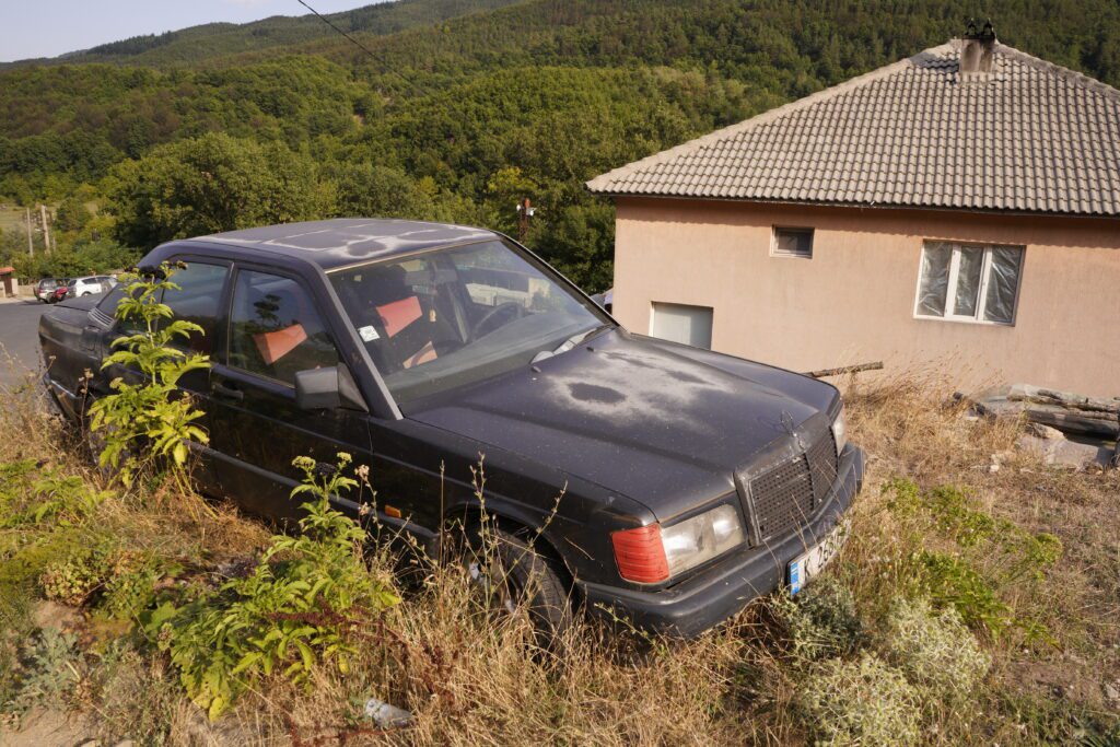 Faded Mercedes in the weeds