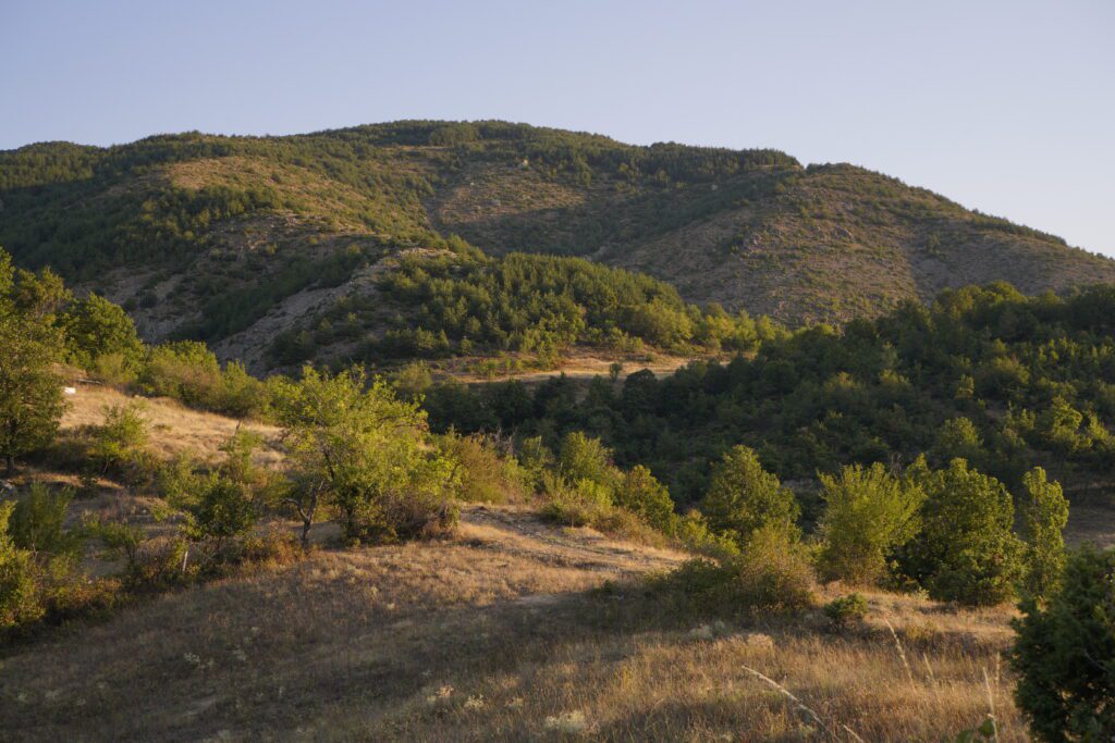Sunlit ridges and forested valleys