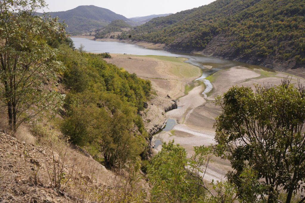 Exposed sandbars in a forested valley