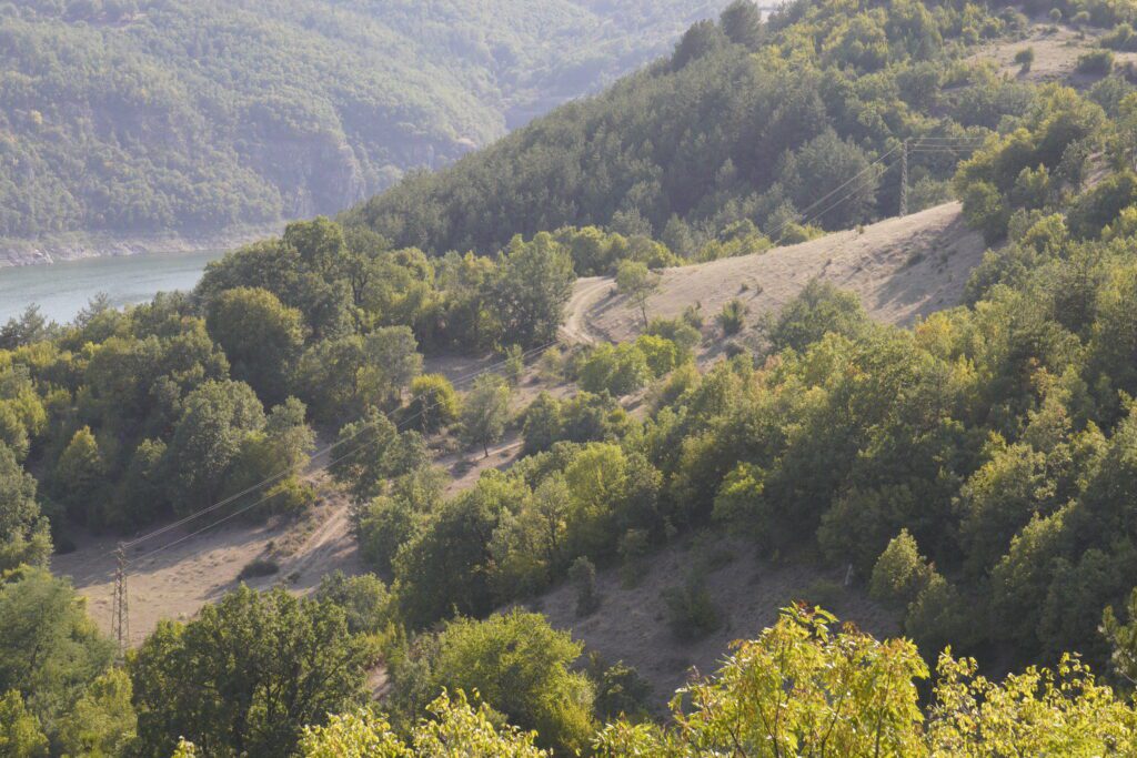 Power lines across green hillsides