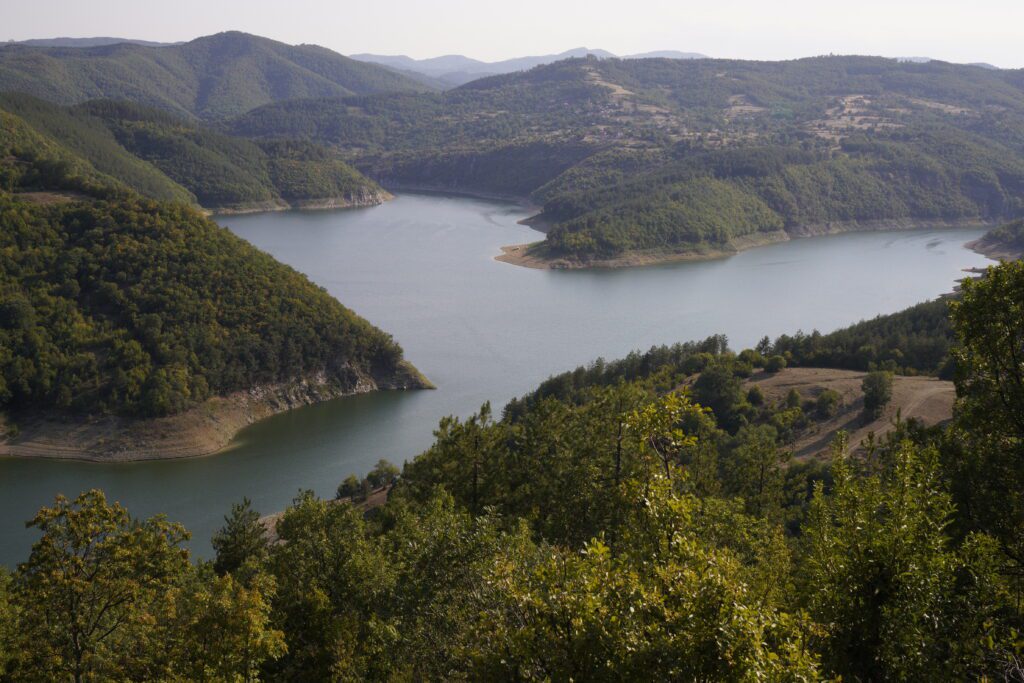 River valley overlook with tree canopy