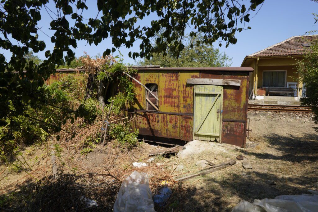 Vine-covered rusted shed