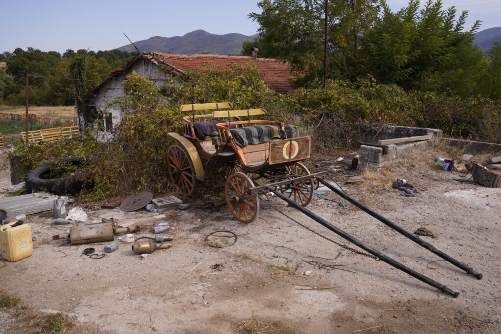 Carriage in the village yard