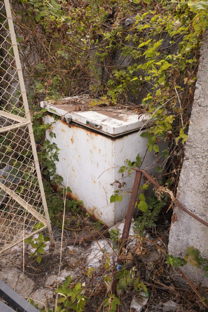 Freezer claimed by vines