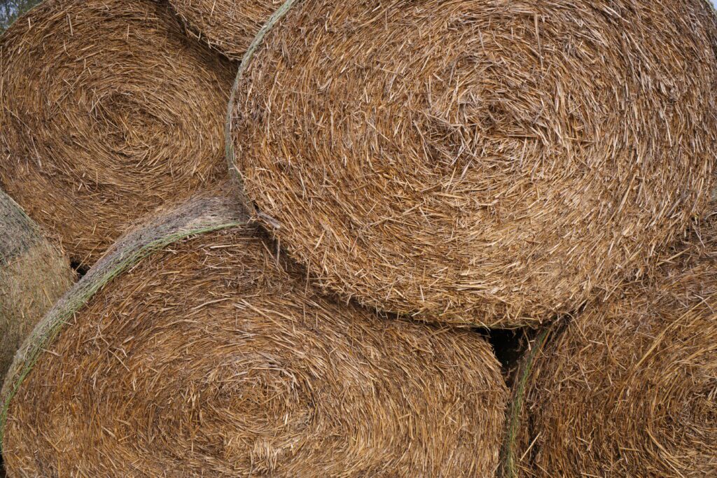 Ends of round hay bales