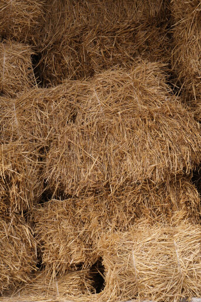 Stacked straw bales