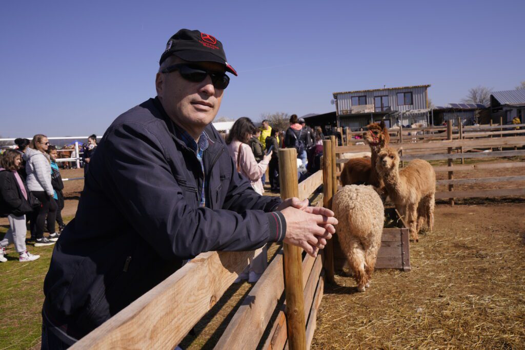 Visitor by alpaca enclosure