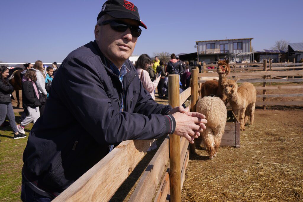 Man at fence with alpacas behind
