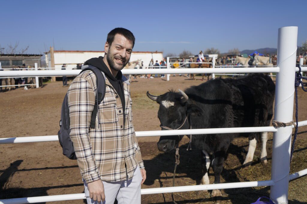 Visitor with black cow at festival