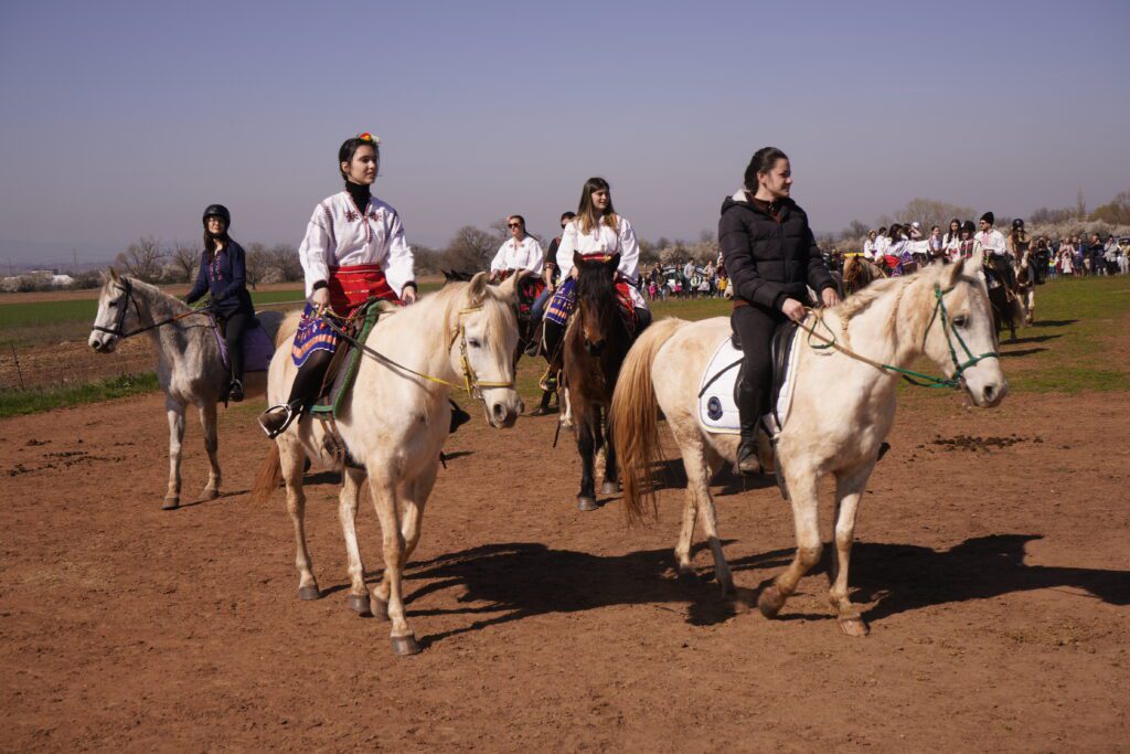 White horses in festival procession