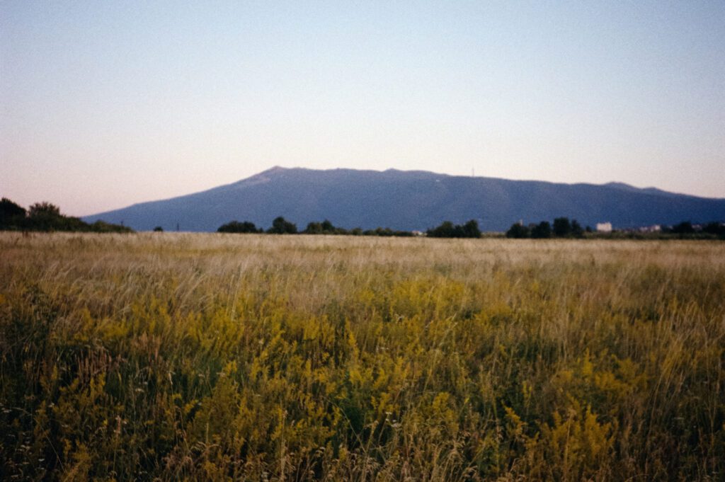 Kodak Color Plus 200 Summer 2025 – 2 Rolls on Pentax 17 — photograph