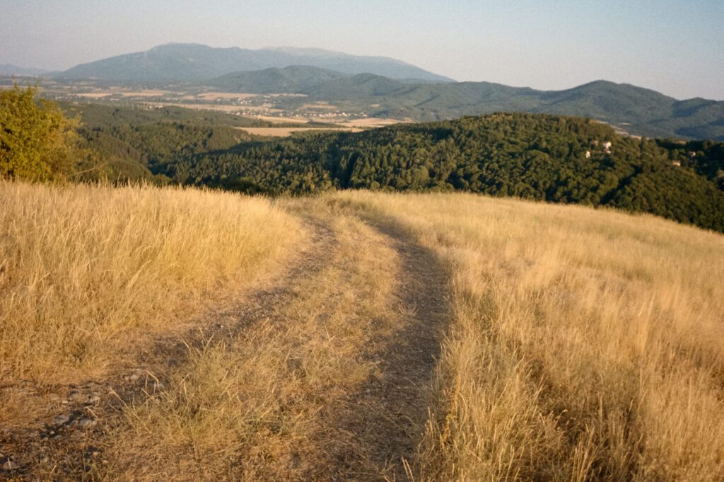Kodak Color Plus 200 Summer 2025 – 2 Rolls on Pentax 17 — photograph