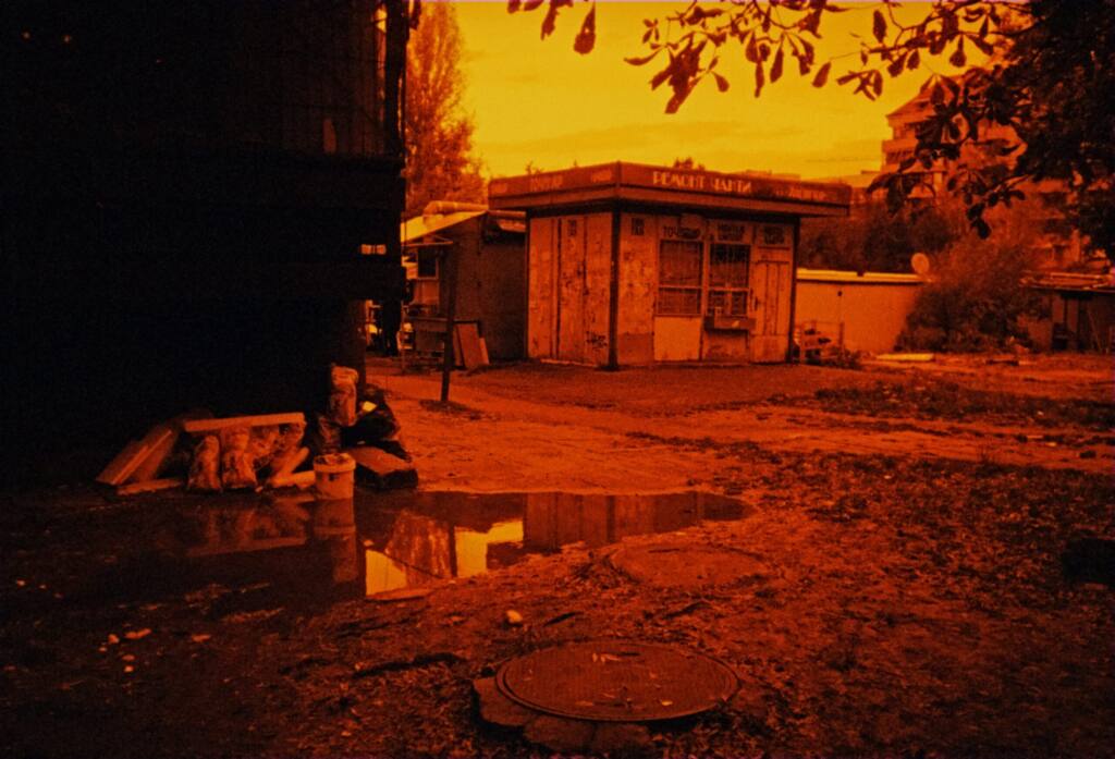 A Small Film Year, A Few Favorite Frames — photograph