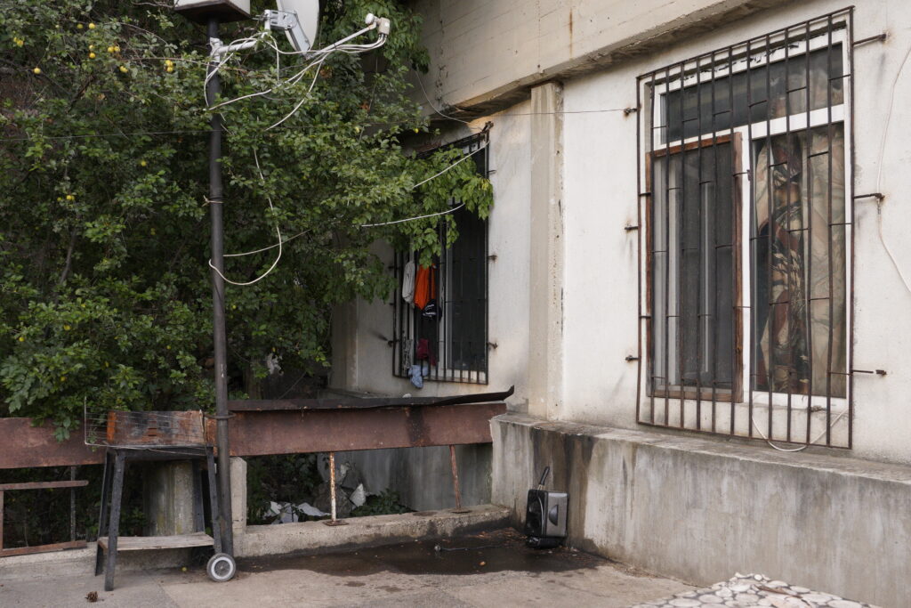 Courtyard Grill and Fruiting Bush