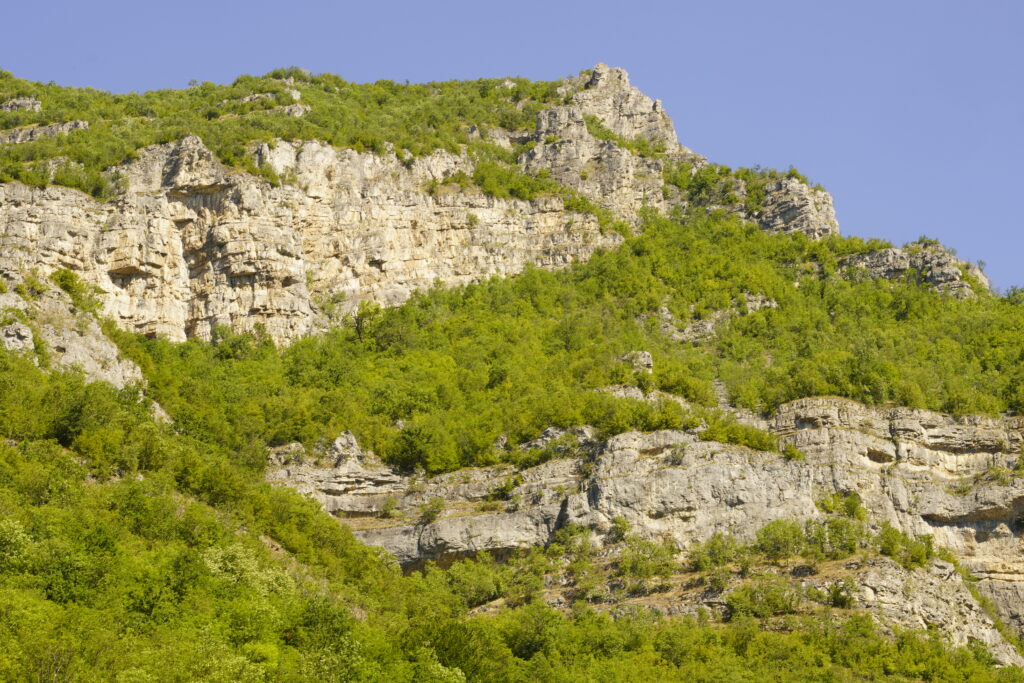Limestone tiers threaded with green trees