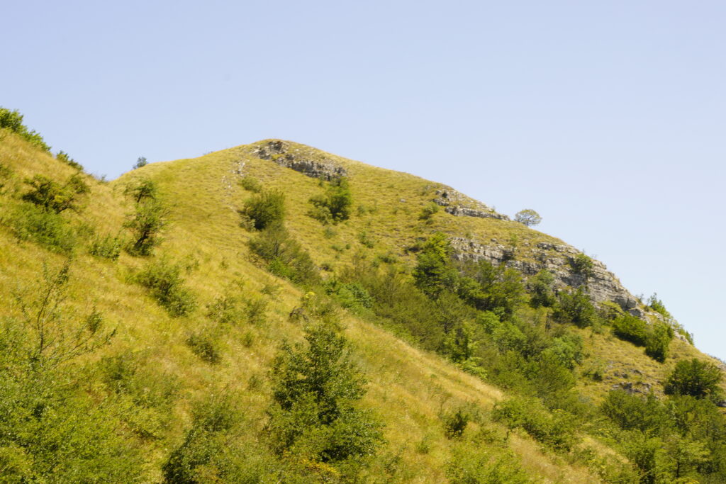 Sunlit grassy slope with rock outcrops