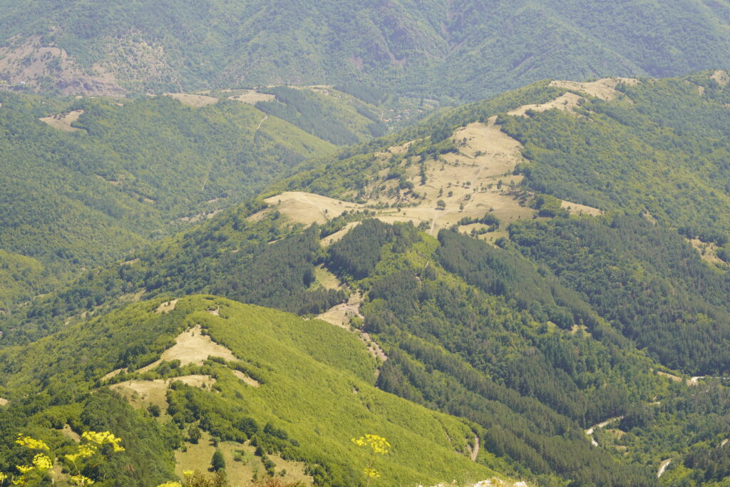 Patchwork ridges of forest and meadow